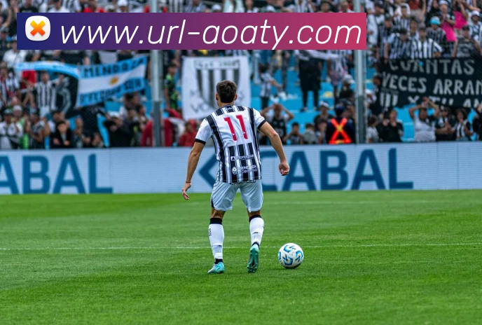 AOA体育服务体系